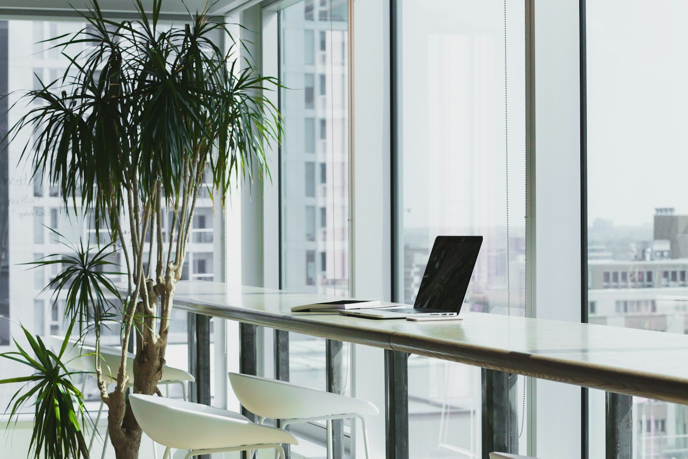 Bureau lumineux et végétalisé avec vue sur la ville